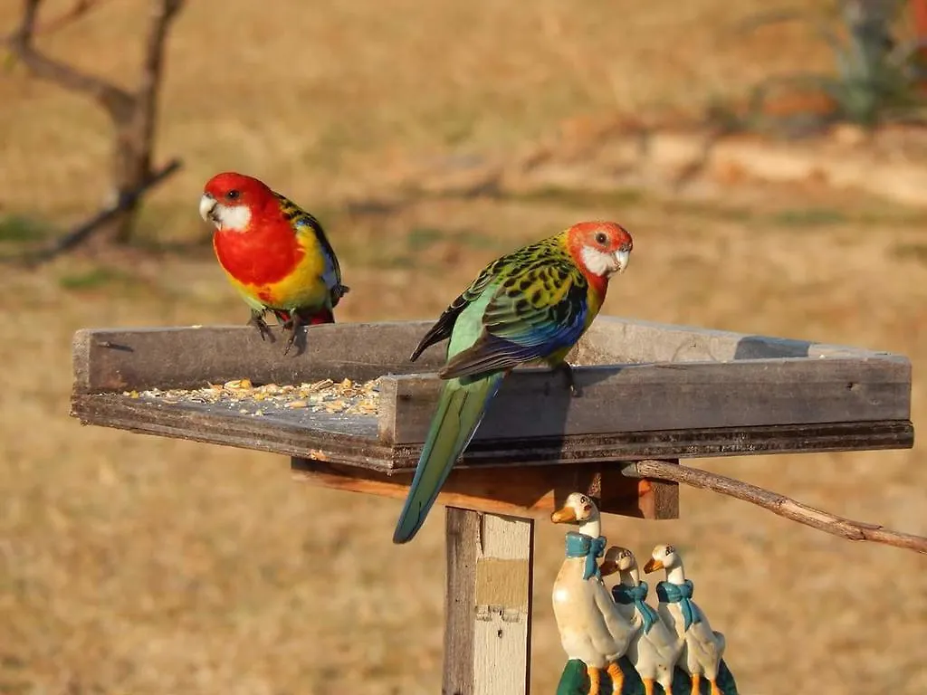 Grovely House Bed & Breakfast Stanthorpe Australia