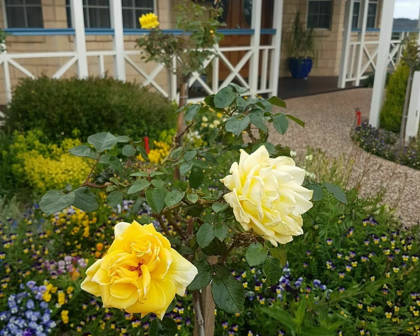Grovely House Bed & Breakfast Stanthorpe